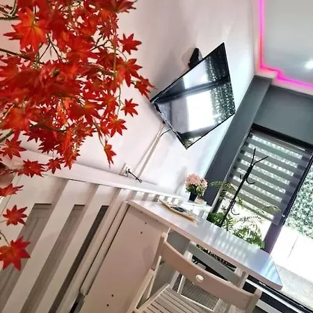 Baldachin Flat For 2 People * 康斯坦察