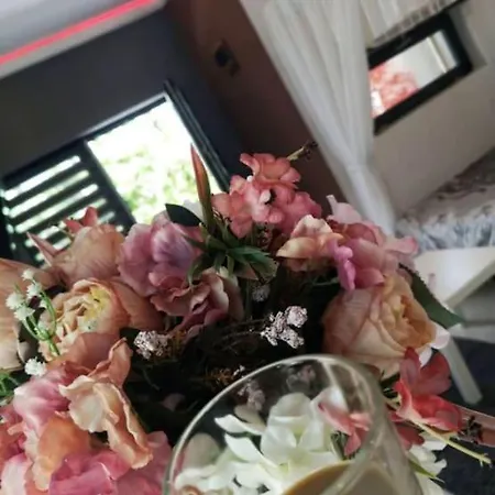 Baldachin Flat For 2 People 康斯坦察